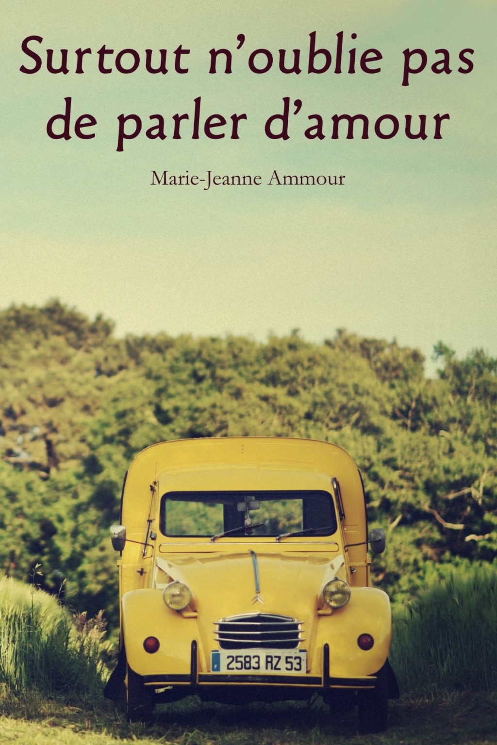 Surtout n’oublie pas de parler d’amour – Marie-Jeanne Ammour Surtout n’oublie pas de parler d’amour – Marie-Jeanne Ammour