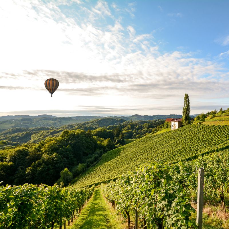 Tour de France des vins